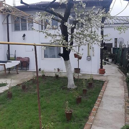 House Hotel Craiova Exterior photo